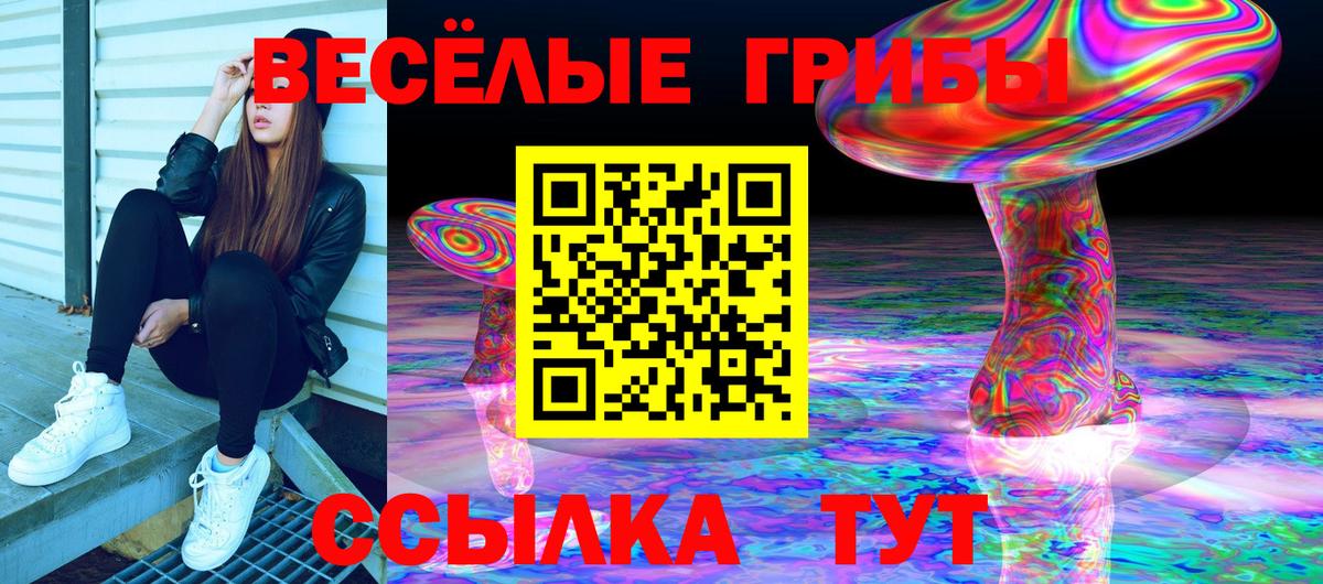 Галлюциногенные грибы мицелий Унеча